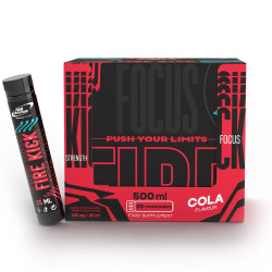 Pro Nutrition Fire Kick