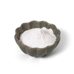 Protein a Co Inulin - vláknina z kořene čekanky 250 g