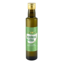 PURITY VISION Meduňková voda BIO 250 ml