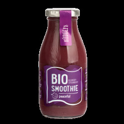 RUDOLFS Smoothie borůvka jahoda BIO 260 ml