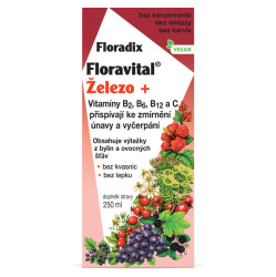 SALUS Floradix floravital železo+ sirup 250 ml
