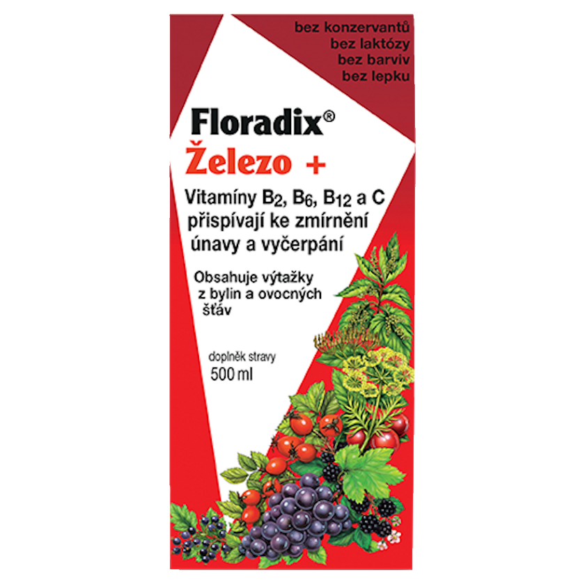 SALUS Floradix železo+ sirup 500 ml