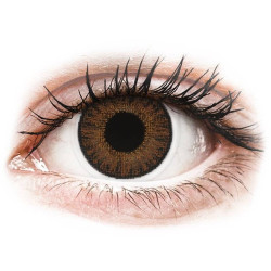 TopVue Color - dioptrické jednodenní (10 čoček) Brown 608223_13861998