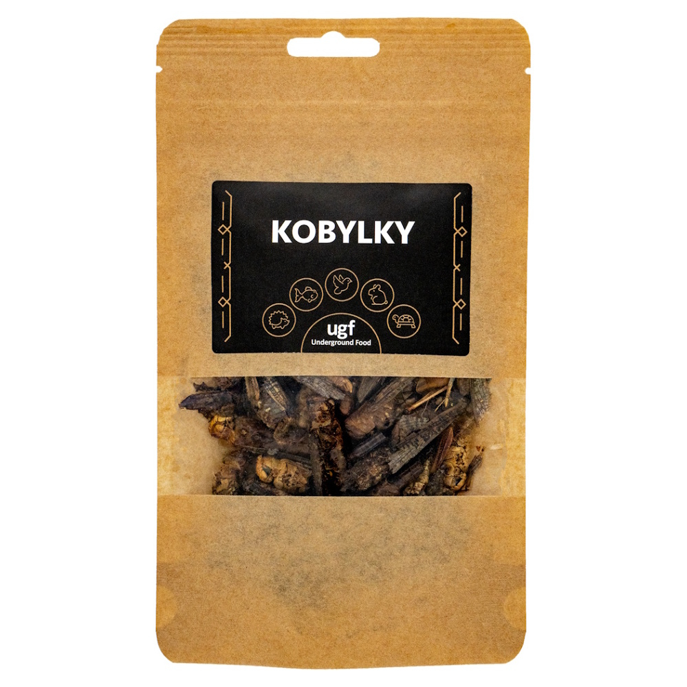 UGF sušené kobylky 20 g