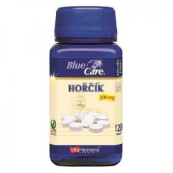VITAHARMONY Hořčík 300 mg 120 tablet