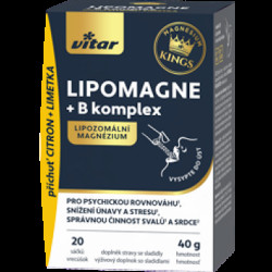 VITAR Lipomagne +B komplex 20 x 2 g