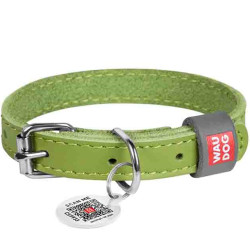 WAUDOG Classic Kožený obojek pro psy zelený, Velikost: XXS