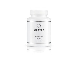 WETYZO Cordyceps Origin 90 kapslí