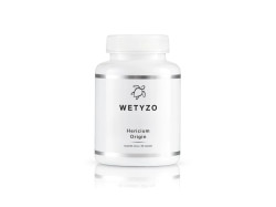 WETYZO Hericium Origin 90 kapslí