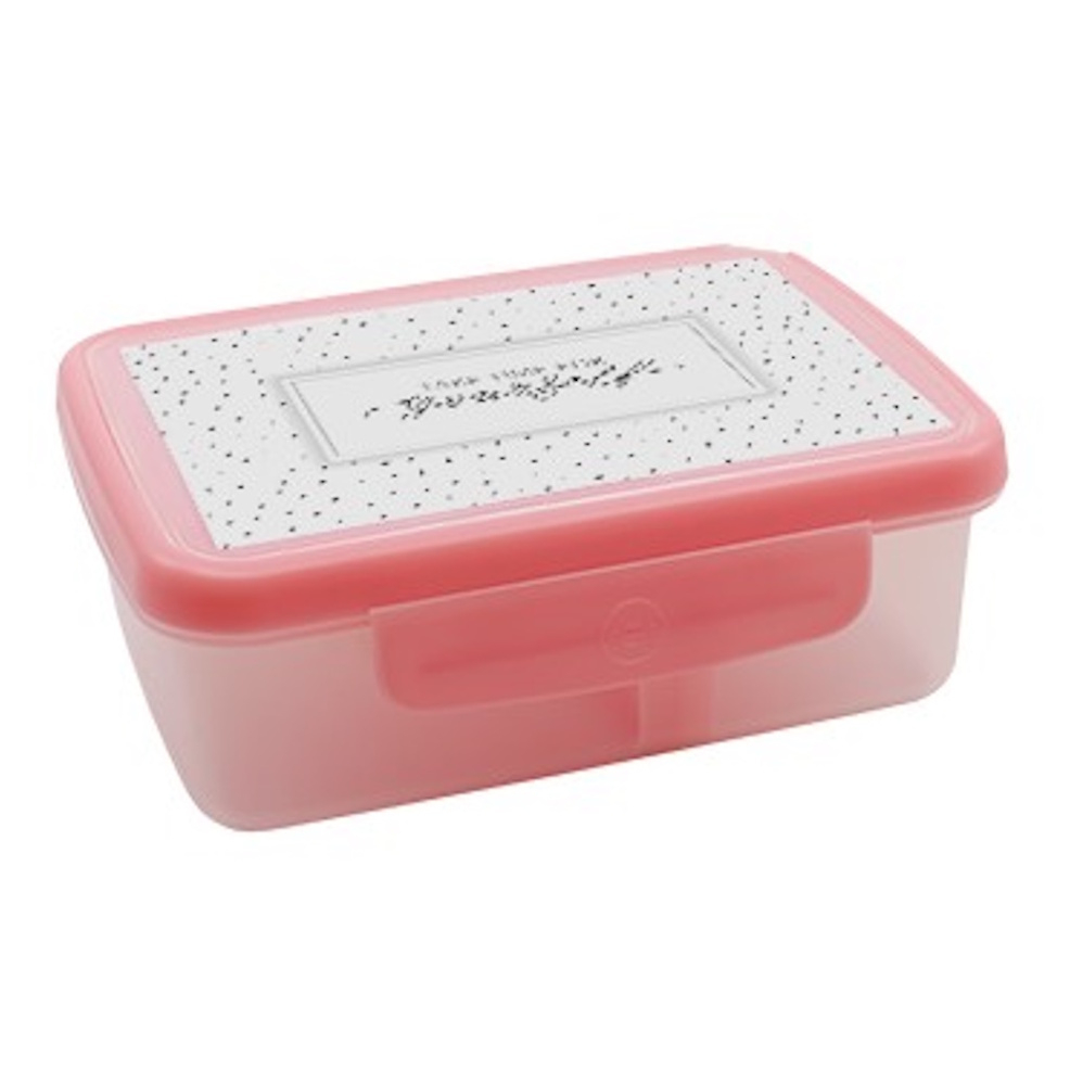 ZDRAVÁ SVÁČA Scandi 700 box růžová 900 ml