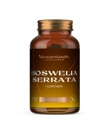 Zdravý svet Vesantech Boswellia serrata 120 kapslí